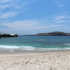 nopalera-beach-marietas-islands