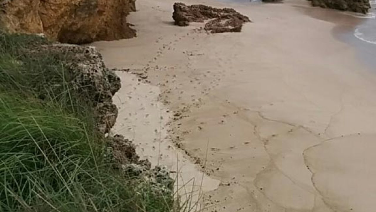 La-Nopalera-beach.jpg