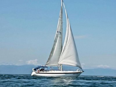 Velero en Puerto Vallarta 39 Pies