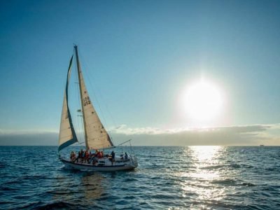 Velero en Puerto Vallarta - Viva 36