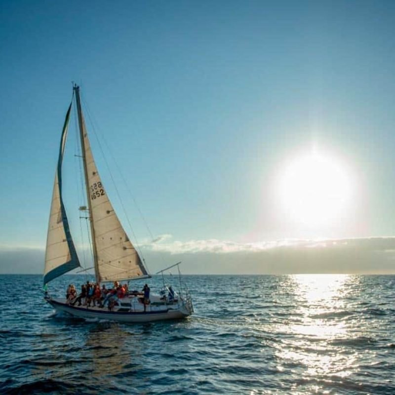 Velero en Puerto Vallarta - Viva 36