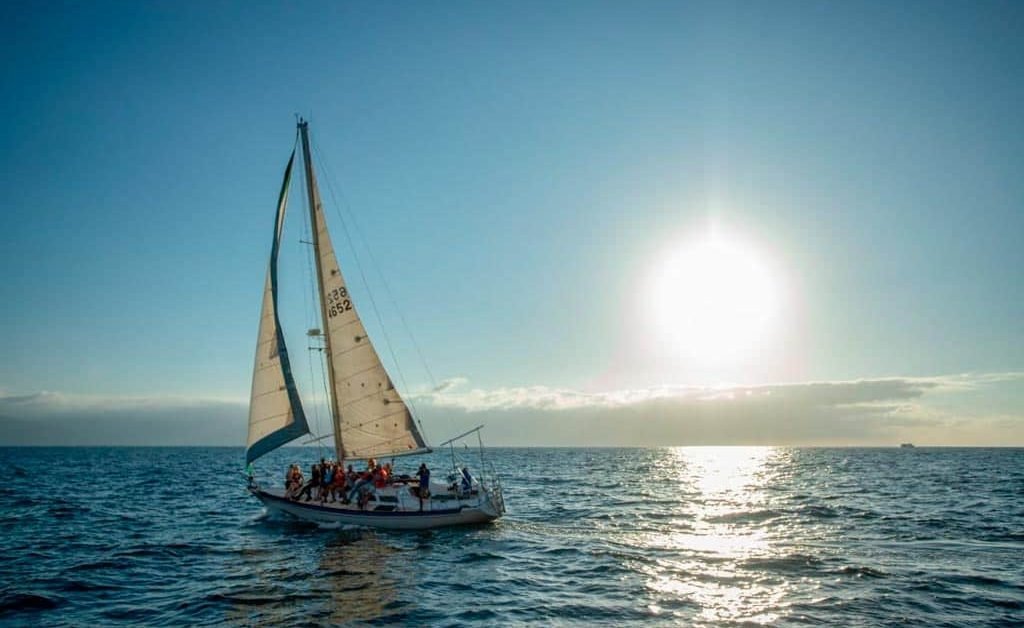 Velero en Puerto Vallarta - Viva 36