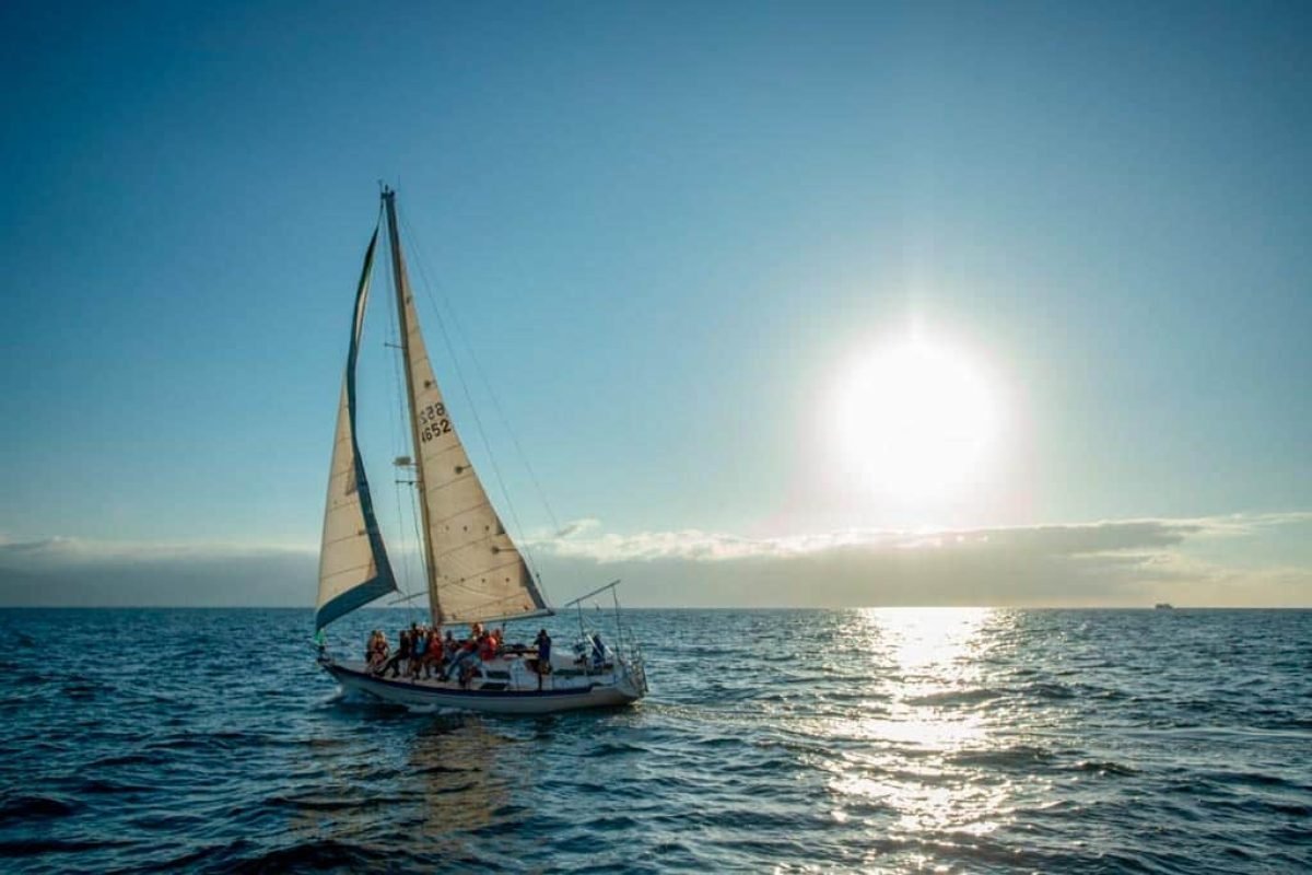 Velero en Puerto Vallarta - Viva 36