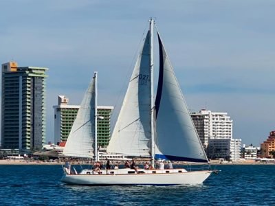 Velero-puerto-vallarta-alebrije-50-5.jpg