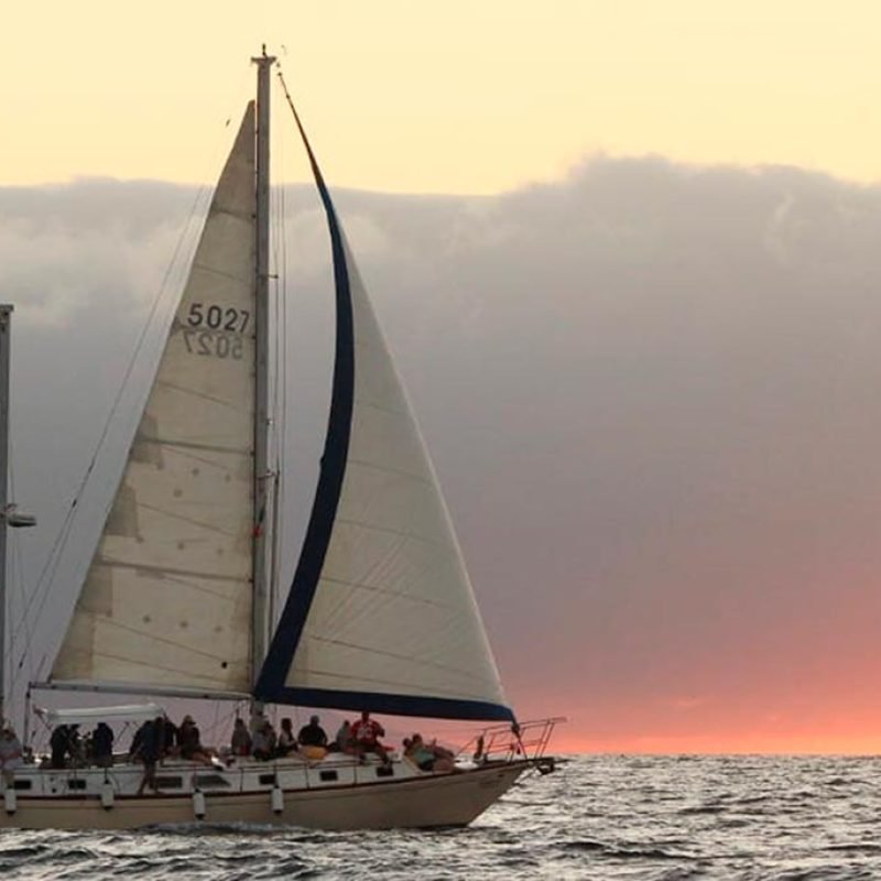 Velero en Puerto Vallarta - Alebrije 50