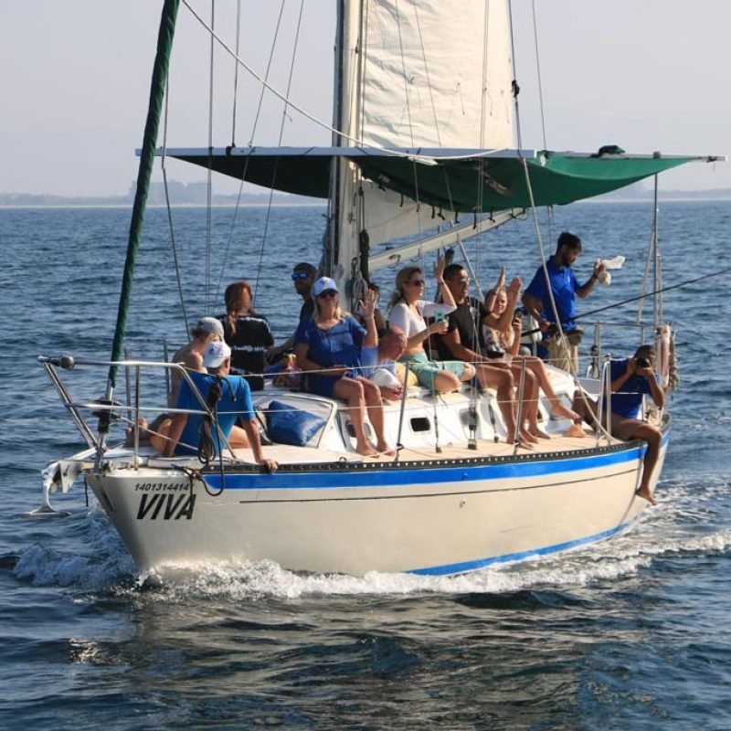 Sailboat rental puerto vallarta - Viva 36