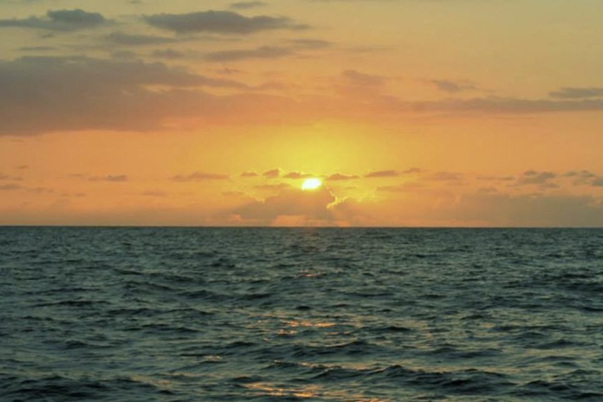 Velero al atardecer tour