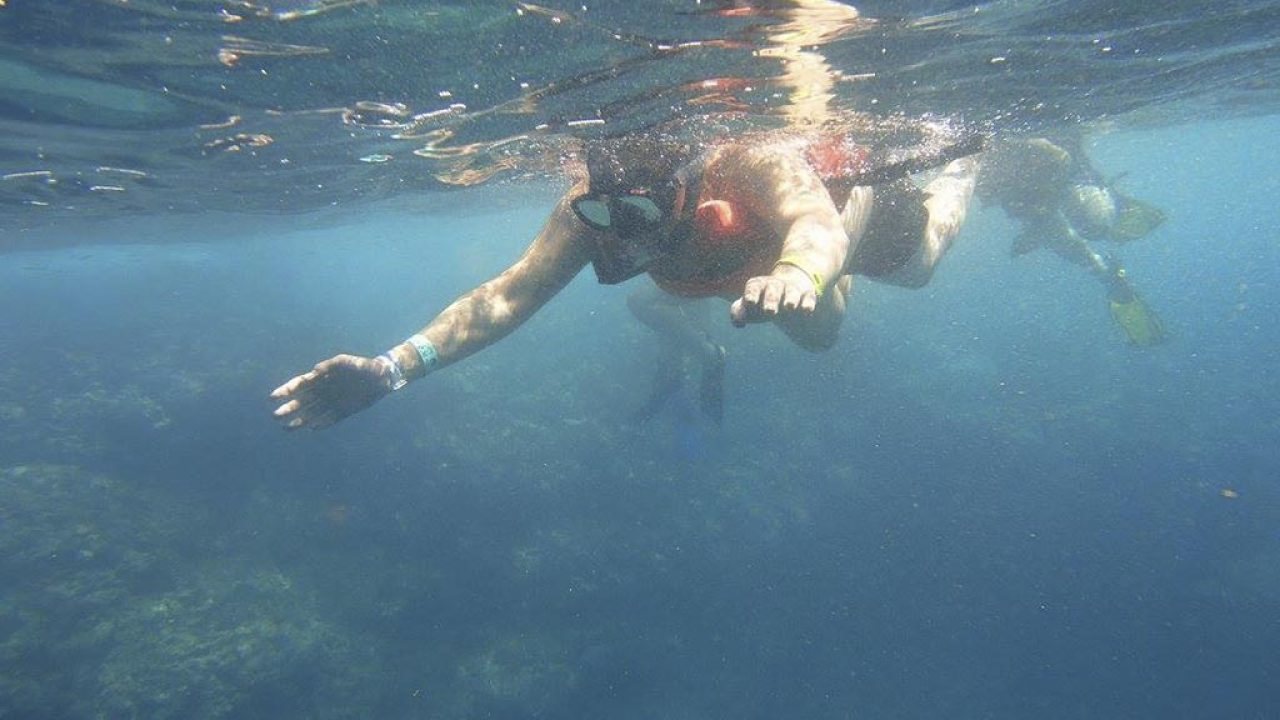 snorkel-vallarta.jpg